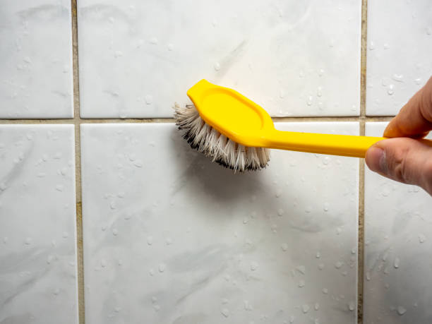 Best Preventive Mold Services in Tomahawk, WI
