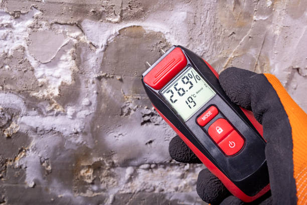 Best Post-Flood Mold Remediation in Tomahawk, WI