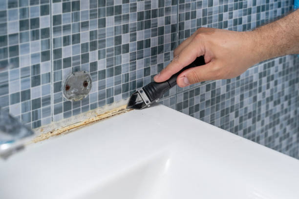 Best Mold Remediation for Schools in Tomahawk, WI